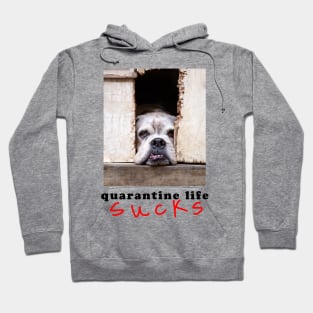 quarantine life sucks Hoodie